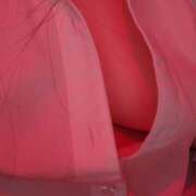 ヒメ日記 2025/10/27 19:51 投稿 あお banana