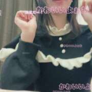 ヒメ日記 2025/11/24 11:33 投稿 うたこ（超可愛い現役女子大生！ ハニービー（Honey Bee）