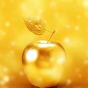 ヒメ日記 2026/04/09 11:56 投稿 七瀬 ママの婚活 CHIBA