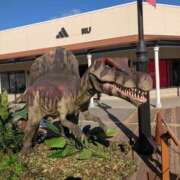 ヒメ日記 2026/01/23 11:15 投稿 あんな clubさくら梅田店