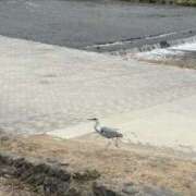 ヒメ日記 2026/01/30 10:55 投稿 あんな clubさくら梅田店