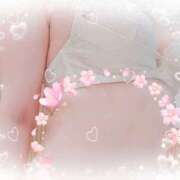 ヒメ日記 2026/04/04 11:25 投稿 あんな clubさくら梅田店