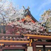 ヒメ日記 2026/04/05 11:16 投稿 あんな clubさくら梅田店