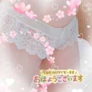 ヒメ日記 2026/04/14 10:55 投稿 あんな clubさくら梅田店