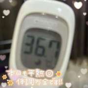 ヒメ日記 2025/08/02 12:08 投稿 リオ(姫) 奥様幕府