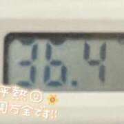 ヒメ日記 2025/08/05 12:08 投稿 リオ(姫) 奥様幕府