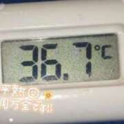 ヒメ日記 2025/08/08 10:27 投稿 リオ(姫) 奥様幕府