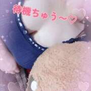 ヒメ日記 2025/09/06 00:43 投稿 とうか ぽちゃカワ女子専門店 上野御徒町店