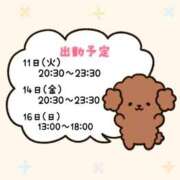 ヒメ日記 2025/11/09 23:22 投稿 とうか ぽちゃカワ女子専門店 上野御徒町店