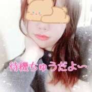 ヒメ日記 2025/12/14 16:16 投稿 とうか ぽちゃカワ女子専門店 上野御徒町店