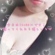 ヒメ日記 2025/09/07 12:17 投稿 とうか ぽちゃカワ女子専門店 千葉松戸店