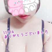 ヒメ日記 2025/11/15 01:42 投稿 とうか ぽちゃカワ女子専門店 千葉松戸店