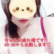 ヒメ日記 2026/01/20 19:21 投稿 とうか ぽちゃカワ女子専門店 千葉松戸店