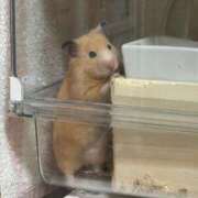 ヒメ日記 2025/08/24 08:53 投稿 あおい フォーチュン