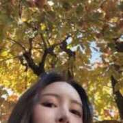 ヒメ日記 2025/11/22 11:49 投稿 時任　クロエ イラマチーオ新宿店