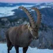 時任　クロエ 今日は特別なことは何もない。 SM東京　新宿店