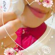 ヒメ日記 2025/11/12 02:02 投稿 京美(きょうみ) 五十路エステハイブリッド(カサブランカグループ)