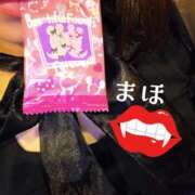 ヒメ日記 2025/10/23 14:23 投稿 まほ 一力茶屋