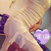 ヒメ日記 2025/11/07 12:33 投稿 まほ 一力茶屋