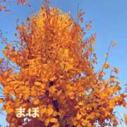 ヒメ日記 2025/12/04 09:53 投稿 まほ 一力茶屋