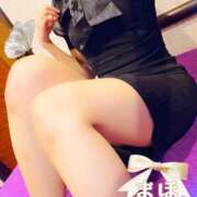 ヒメ日記 2025/12/22 14:13 投稿 まほ 一力茶屋