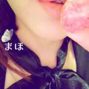 ヒメ日記 2025/12/26 19:33 投稿 まほ 一力茶屋