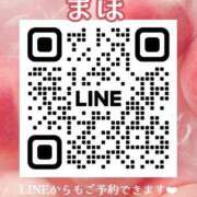 ヒメ日記 2026/03/17 10:53 投稿 まほ 一力茶屋