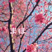 ヒメ日記 2026/03/22 12:33 投稿 まほ 一力茶屋