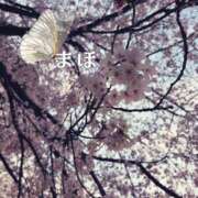 ヒメ日記 2026/03/31 10:23 投稿 まほ 一力茶屋