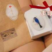 ヒメ日記 2026/04/07 14:23 投稿 まほ 一力茶屋