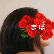 ヒメ日記 2026/04/09 12:33 投稿 まほ 一力茶屋