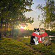 ヒメ日記 2026/04/20 10:24 投稿 まほ 一力茶屋