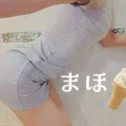 ヒメ日記 2026/04/28 14:53 投稿 まほ 一力茶屋
