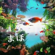ヒメ日記 2026/06/02 20:33 投稿 まほ 一力茶屋