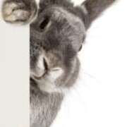 ヒメ日記 2025/10/25 03:17 投稿 さりな 丸妻 厚木店