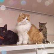 ヒメ日記 2025/08/04 16:55 投稿 結夢（ゆめ） 丸妻 錦糸町店