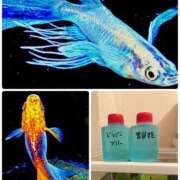 ヒメ日記 2025/08/04 20:55 投稿 結夢（ゆめ） 丸妻 錦糸町店