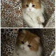 ヒメ日記 2025/08/29 17:04 投稿 結夢（ゆめ） 丸妻 錦糸町店