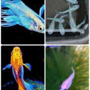 ヒメ日記 2025/09/01 18:41 投稿 結夢（ゆめ） 丸妻 錦糸町店