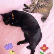 ヒメ日記 2025/09/01 23:33 投稿 結夢（ゆめ） 丸妻 錦糸町店