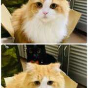 ヒメ日記 2025/09/12 21:17 投稿 結夢（ゆめ） 丸妻 錦糸町店