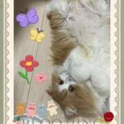 ヒメ日記 2025/09/17 14:10 投稿 結夢（ゆめ） 丸妻 錦糸町店