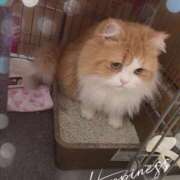 ヒメ日記 2025/09/22 16:52 投稿 結夢（ゆめ） 丸妻 錦糸町店