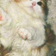 ヒメ日記 2025/09/27 09:52 投稿 結夢（ゆめ） 丸妻 錦糸町店