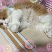 ヒメ日記 2025/09/28 20:54 投稿 結夢（ゆめ） 丸妻 錦糸町店