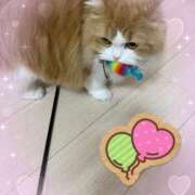 ヒメ日記 2025/10/01 09:09 投稿 結夢（ゆめ） 丸妻 錦糸町店