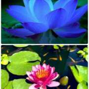 ヒメ日記 2025/10/04 16:20 投稿 結夢（ゆめ） 丸妻 錦糸町店