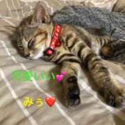 ヒメ日記 2025/10/07 18:16 投稿 結夢（ゆめ） 丸妻 錦糸町店