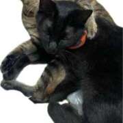 ヒメ日記 2025/10/09 12:39 投稿 結夢（ゆめ） 丸妻 錦糸町店