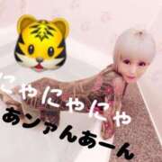 ヒメ日記 2025/10/11 07:48 投稿 結夢（ゆめ） 丸妻 錦糸町店